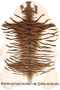 Art Tiger Skin Rug C3