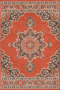 Aperto Medallion Indoor Outdoor Rug 214-C