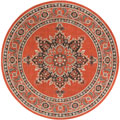 Aperto Medallion Indoor Outdoor Rug 214-C
