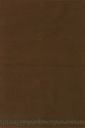 Dhurry Sachin Flatweave Rug 74 Brown