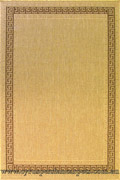 Sisalo Border Flatweave Rug 1880-634D