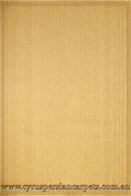 Sisalo Border Flatweave Rug 989-J84D