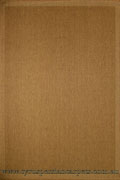 Sisalo Border Flatweave Rug 989-J84N