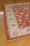 Tolidi Floral Hand Knotted Wool Rug