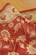 Tolidi Floral Hand Knotted Wool Rug