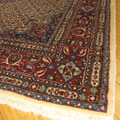 Moud Medallion Hand Knotted Wool Rug