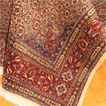 Moud Medallion Hand Knotted Wool Rug