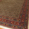 Moud Oriental Hand Knotted Wool Rug