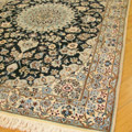Habibian Medallion Hand Knotted Wool & Silk Rug