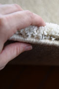 Palace Modern Plain Rugs 9444 Cream