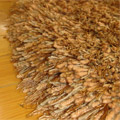 Oval Plain Shaggy Rug Beige Size: 229 x 152cm