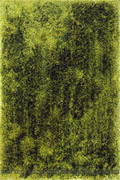 Shell Plain Shaggy Rug 65 Olive
