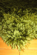 Shell Plain Shaggy Rug 65 Olive