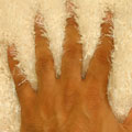 Venice Plain Shaggy Rug Ice 01 Beige