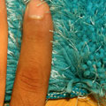 Venice Plain Shaggy Rug Pantone 7459 Blue