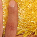 Venice Plain Shaggy Rug 14-0852-TPX Yellow