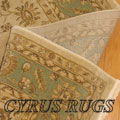 Dallas Traditional Floral Rug 7709H Cream Green
