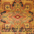 Dallas Traditional Medallion Rug 8788A D. Blue Red