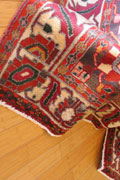 Bakhtiari Hand Knotted Wool Rug (Size 288 x 194cm)