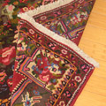 Bakhtiari Hand Knotted Wool Rug (Size 242 x 162cm)