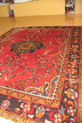 Lilihan Hand Knotted Wool Rug (Size 218 x 175cm)