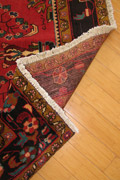 Lilihan Hand Knotted Wool Rug (Size 218 x 175cm)