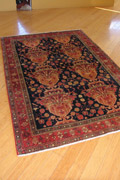 Taleghan Hand Knotted Wool Rug (Size 218 x 138cm)