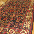 Hamedan Hand Knotted Oriental Wool Rug