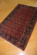 Hamedan Hand Knotted Oriental Wool Rug