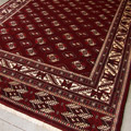 Turkomen Geometric Hand Knotted Wool Rug
