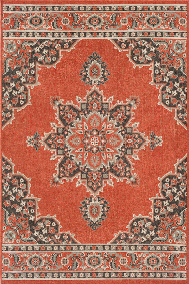 Aperto Medallion Indoor Outdoor Rug 214-C - Click Image to Close