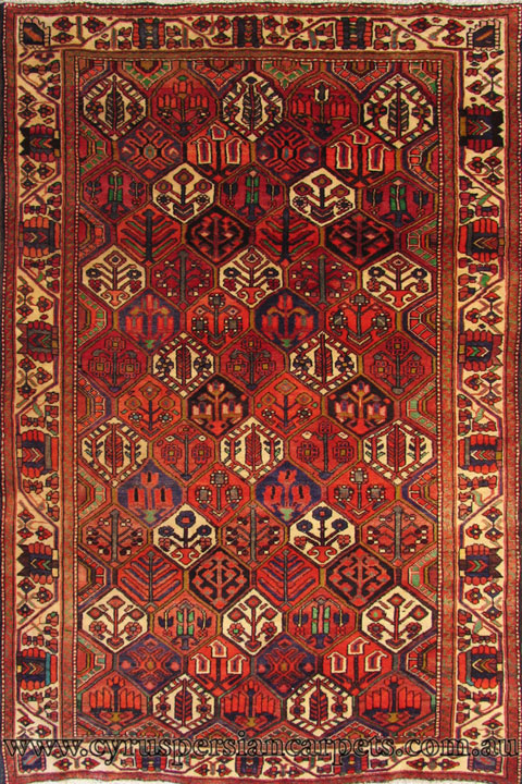Bakhtiari Hand Knotted Wool Rug (Size 295 x 200cm) - Click Image to Close