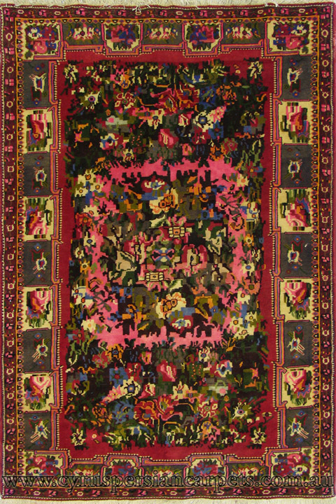 Bakhtiari Hand Knotted Wool Rug (Size 242 x 162cm) - Click Image to Close
