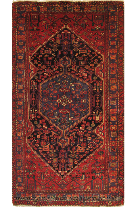 Hamedan Hand Knotted Wool Rug (Size 250 x 137cm) - Click Image to Close