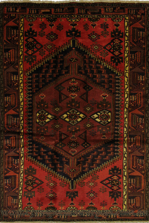 Hamedan Hand Knotted Medallion Wool Rug - Click Image to Close