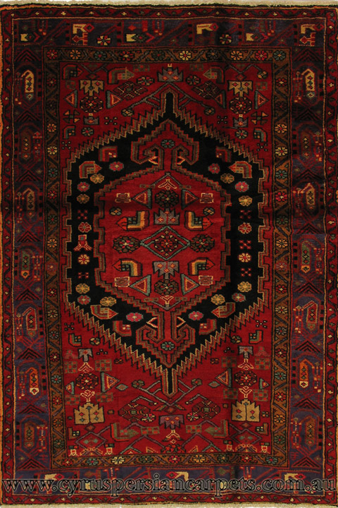 Zanjan Hand Knotted Medallion Wool Rug - Click Image to Close
