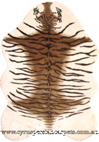 Art Tiger Skin Rug C3