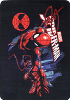 Premium Licensed Spider-Man Swinging Kids Rugs