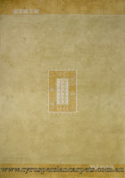 Indo Nepal Wool Modern Abstract Rug IN04