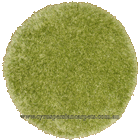 Darwin Shaggy Round Rug 118 Green Green