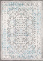Sapore Traditional Floral Rugs EXQ3031