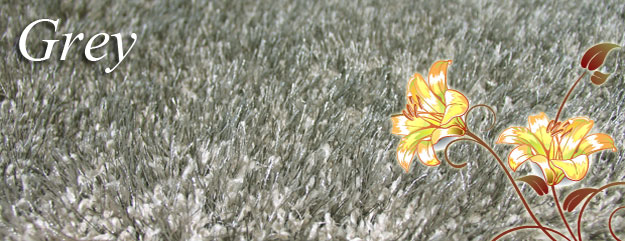Shaggy Rugs